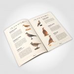 LIBRETO «AVES ESTEPARIAS» – CONSEJERÍA DE AGRICULTURAY PESCA Y CONSEJERÍA DE MEDIOAMBIENTE